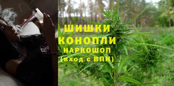 не бодяженный Бородино